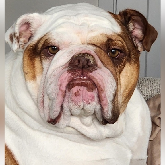 Our Baby Girl Miss Bella B - Picture 4 of 16